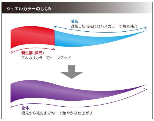 ストア ジュエリー全体カラー